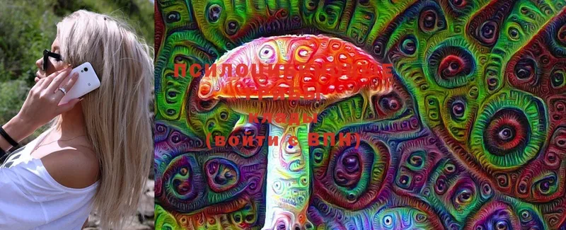 мега ONION  Воронеж  Галлюциногенные грибы Cubensis 