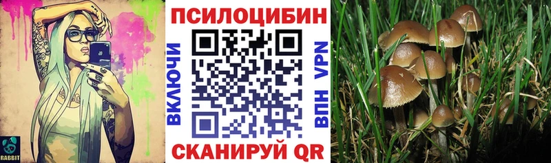 Псилоцибиновые грибы мухоморы  Воронеж 