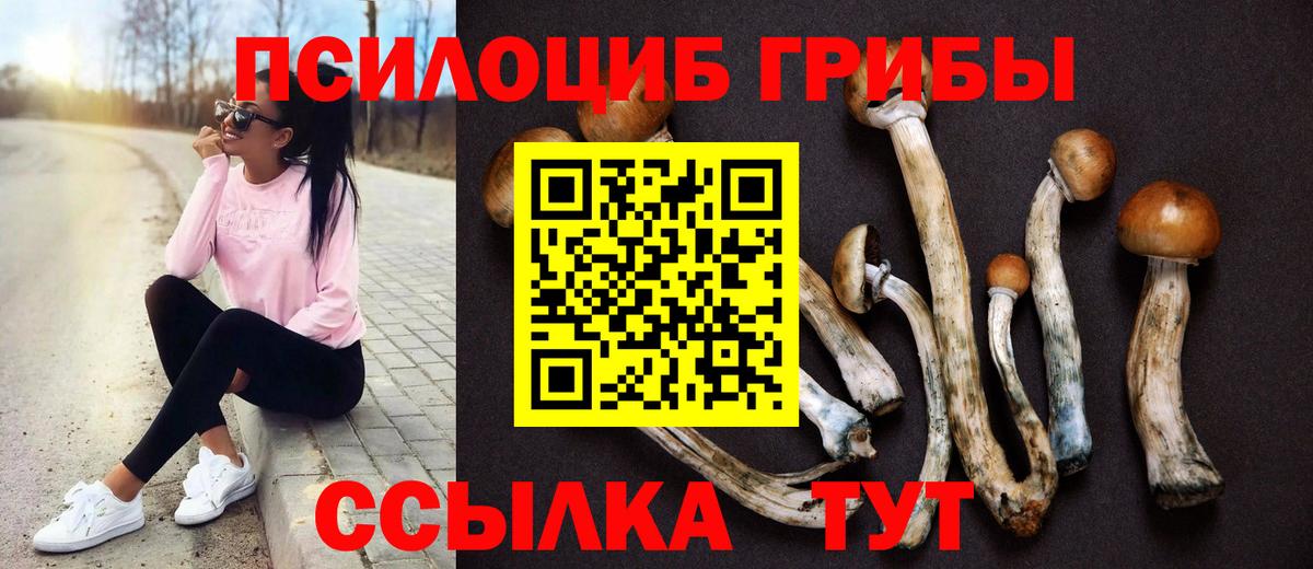 Псилоцибиновые грибы MAGIC MUSHROOMS  Вход с VPN  Воронеж 