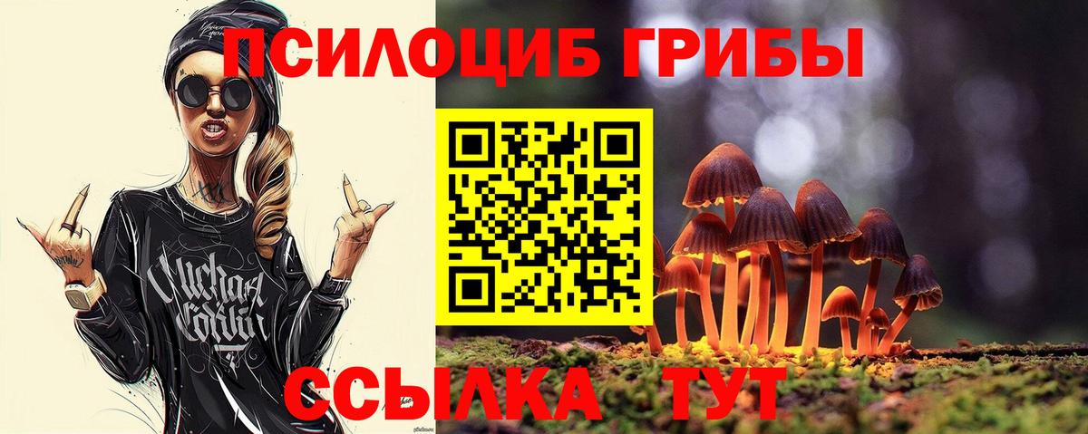 Псилоцибиновые грибы мухоморы Воронеж