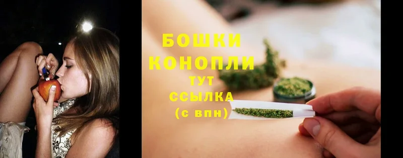 Бошки марихуана SATIVA & INDICA  Воронеж 